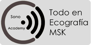 Sonoacademy - Formación experta en Ecografía Musculoesquelética (MSK)
