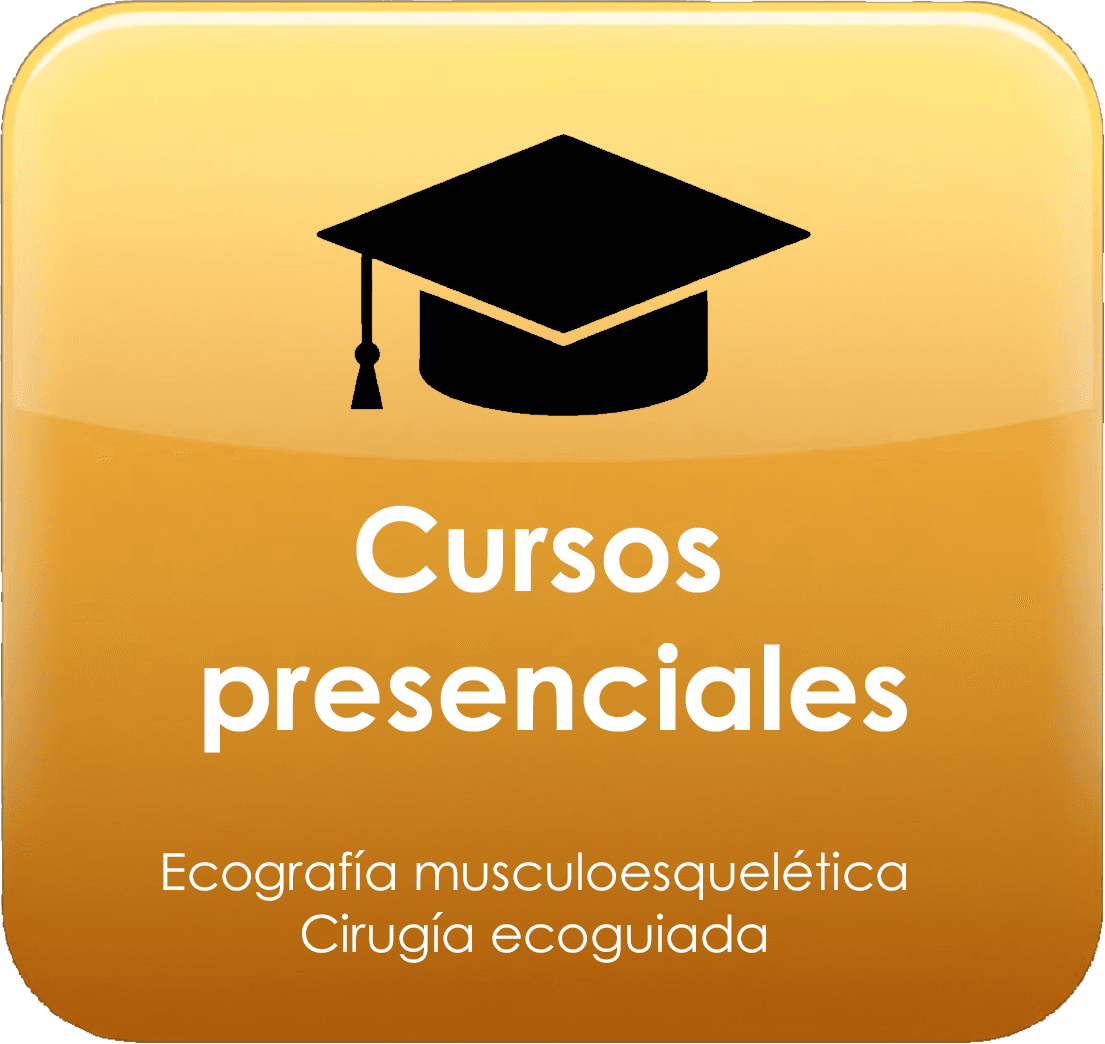 Boton Cursos presenciales curso ecografia Home publica 1 divi