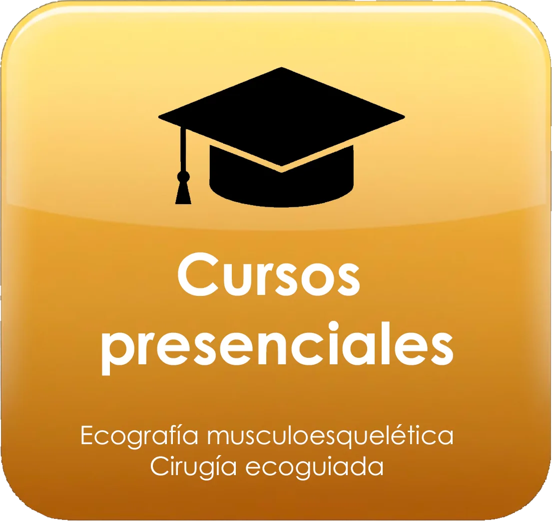 Boton Cursos presenciales curso ecografia Home publica 1 divi