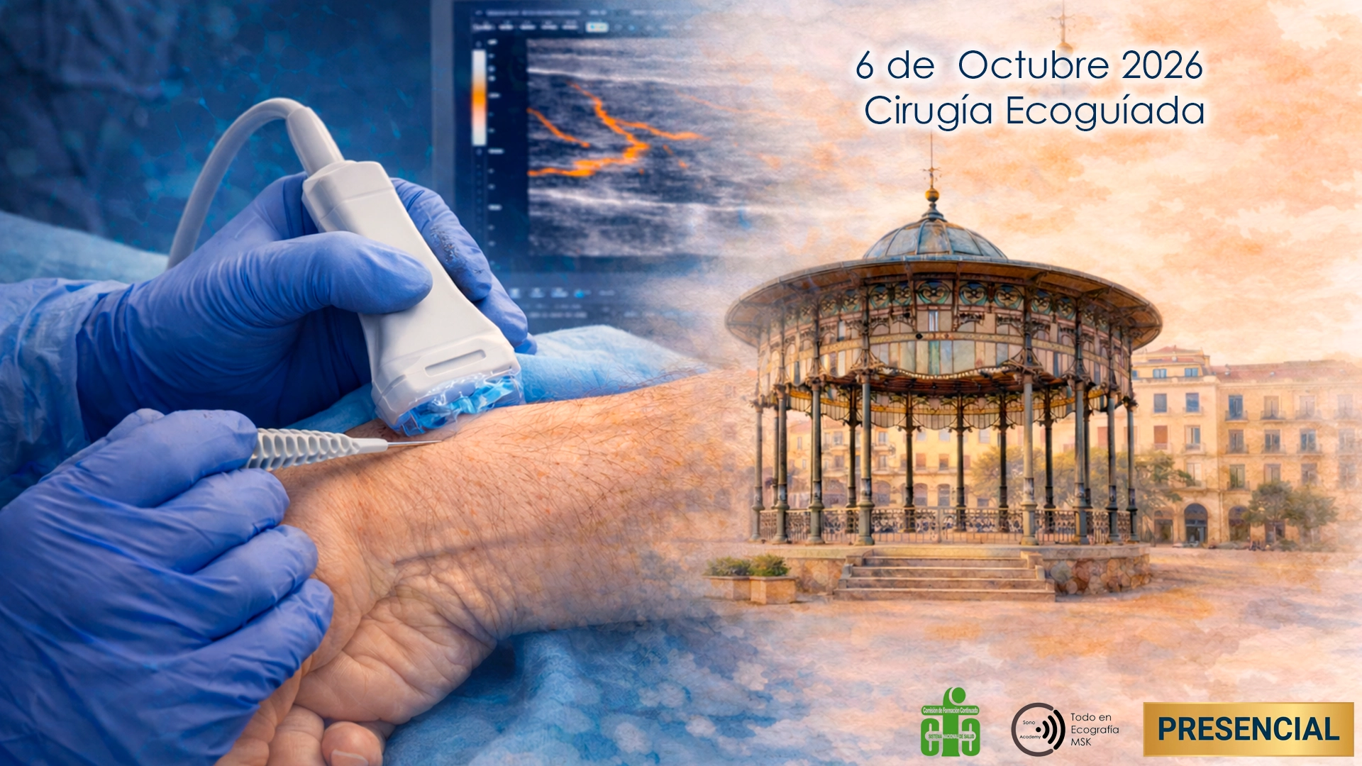 Cursos Sonoacademy Todo en ecografía músculo-esquelética Tu comunidad ecografia VI Curso de cirugía ecoguiada en patología musculoesquelética