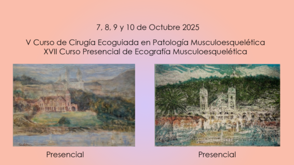 Médicos y fisioterapeutas en el Curso de Ecografía Musculoesquelética y Cirugía Ecoguiada 2025 en San Sebastián, realizando prácticas de diagnóstico ecográfico y técnicas intervencionistas en especímenes anatómicos